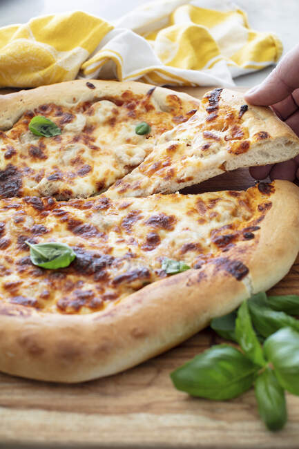 Pizza al formaggio con basilico — Foto stock