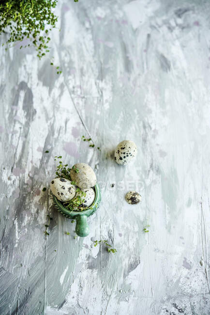 Quail eggs with fresh sage on rustic surface — Stock Photo