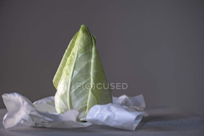 Pointed cabbage on paper against a gray background — Stock Photo