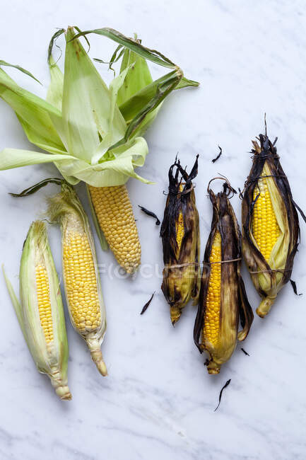 Corn cobs and fresh yellow onions on a white background — Stock Photo