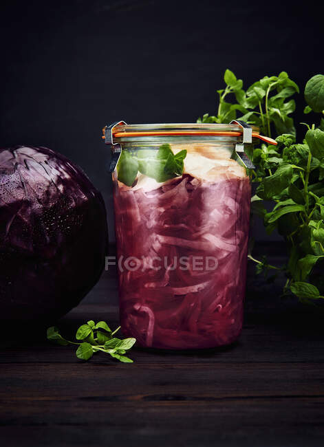 Pickled red cabbage close-up view — Stock Photo
