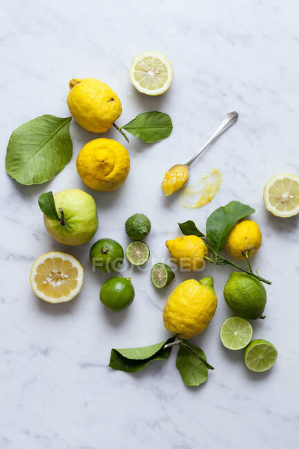 Citrons, citrons verts et caillés de citron — Photo de stock