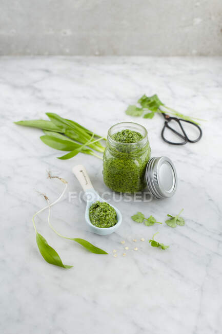 Asian wild garlic pesto — Stock Photo