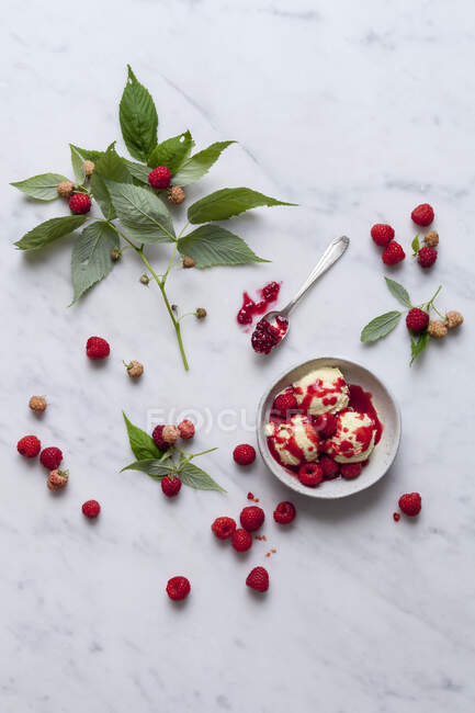 Gelato alla vaniglia con salsa di lamponi e marmellata — Foto stock