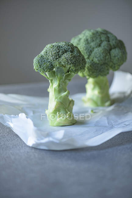 Fresh broccoli close-up view — Stock Photo