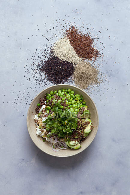 Salada de quinoa com edamame e queijo de cabra fresco — Fotografia de Stock