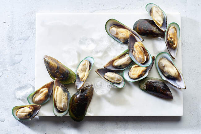 Raw green lipped mussels on a marble board — Stock Photo