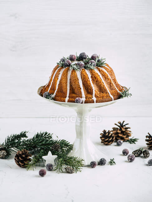 Christmas Bundt cake with cranberries — Stock Photo