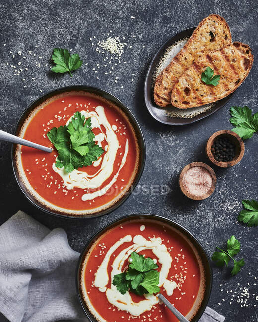 Creamy tomato soup and roasted bread - foto de stock