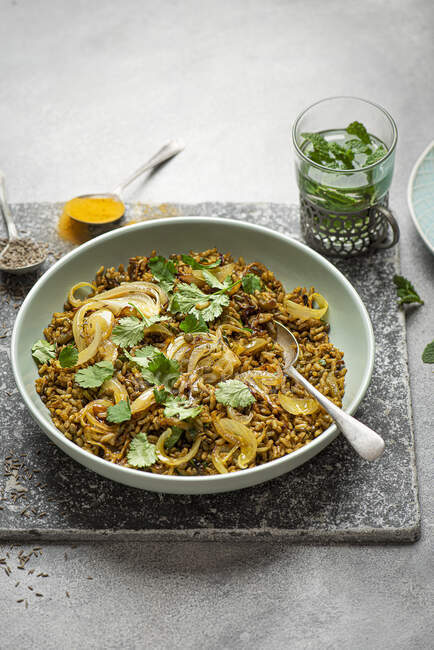 Vegetarisches mittelöstliches Gericht Mejadra mit Reis, Linsen, Zwiebeln, Gewürzen und frischem Koriander — Stockfoto