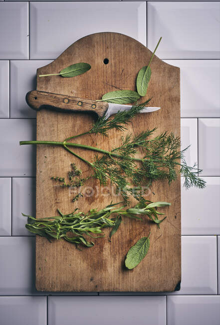 Sage, dill, tarragon and thyme on a wooden board — Stock Photo