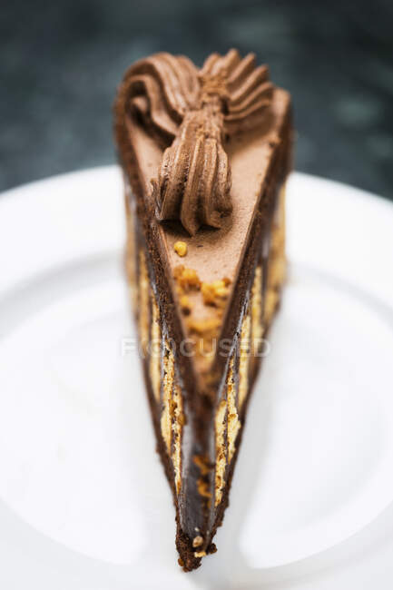 Une tranche de gâteau Sluka — Photo de stock