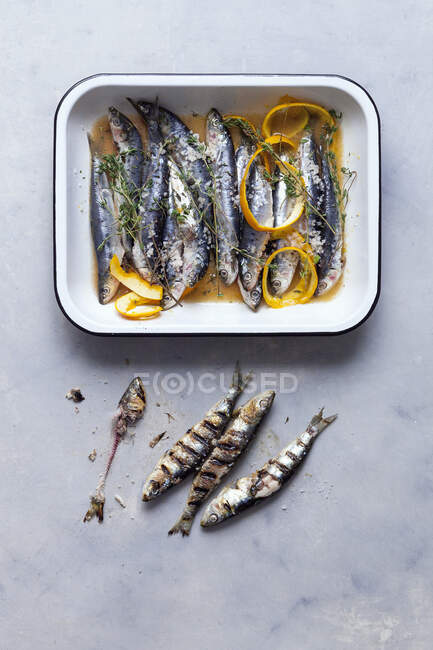 Grilled sardines with orange — Stock Photo