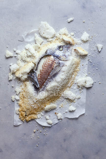 Sea bream in a salt crust — Foto stock