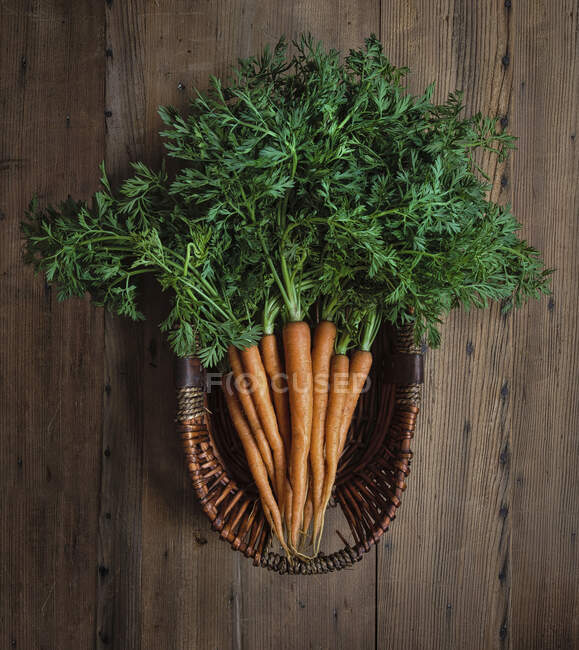 Jeunes carottes aux tiges vertes dans un panier en osier — Photo de stock