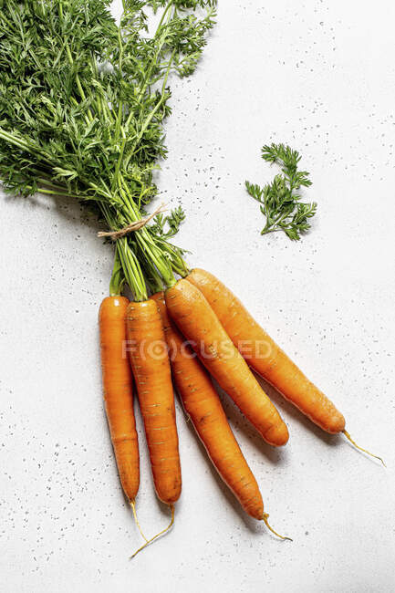 Связанная связка моркови с зелеными стеблями на каменной поверхности — стоковое фото