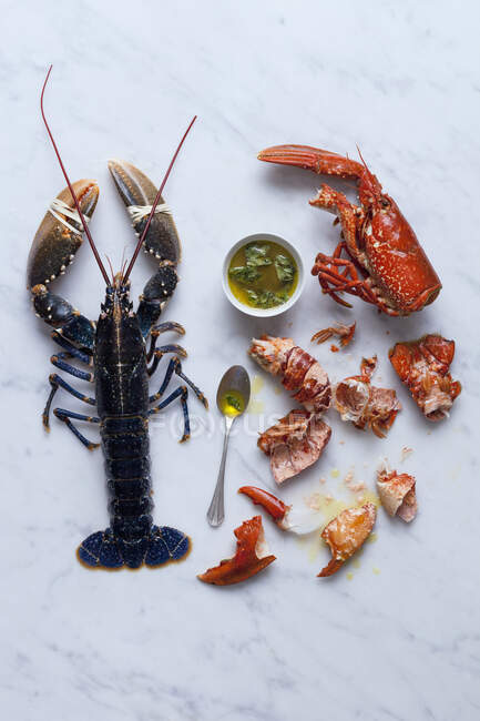 Lobster, cooked and raw — Stock Photo
