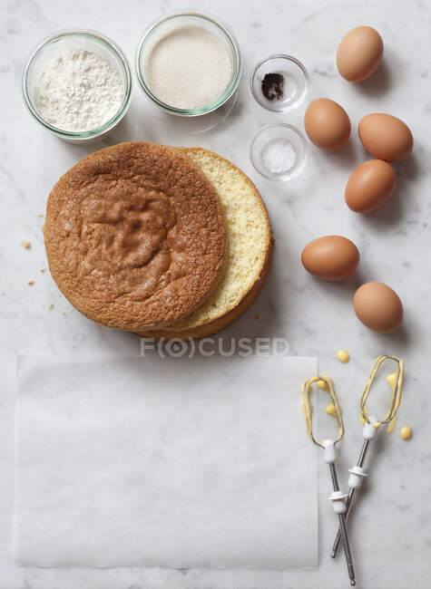 Sponge cake and ingredients — Stock Photo