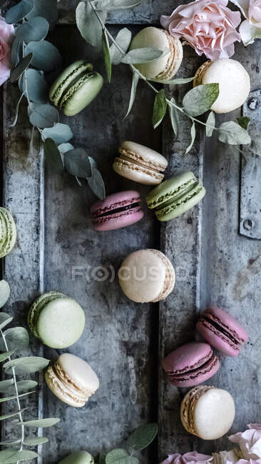 Macarons et fleurs vue rapprochée — Photo de stock