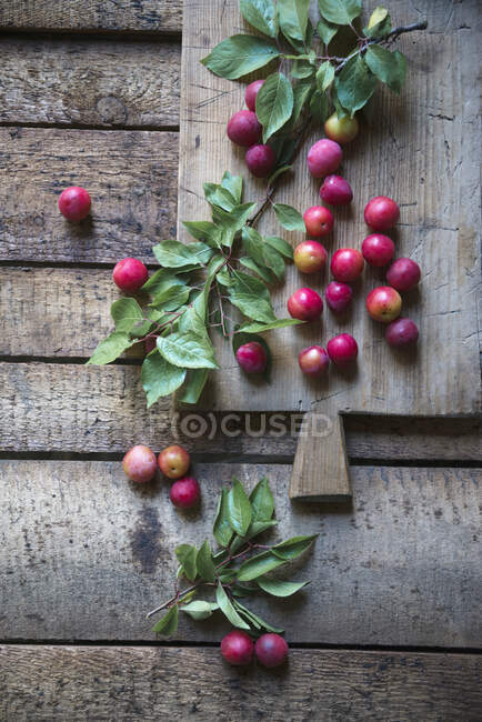 Ameixas de cereja em uma mesa de madeira — Fotografia de Stock