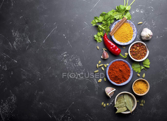 Especias e ingredientes tradicionales indios - foto de stock