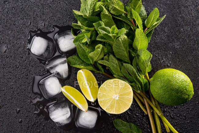 Ingredienti cocktail Mojito — Foto stock