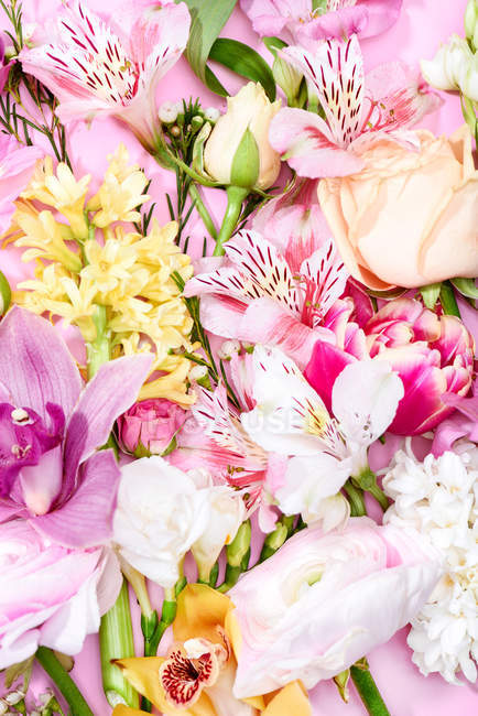 Belles fleurs en fleurs — Photo de stock
