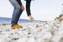 Homme ramassant des pierres à la plage — Photo de stock