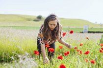 Женщина собирает маковые цветы — стоковое фото