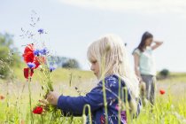 Mädchen mit Wildblumen — Stockfoto