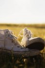 Canvas shoes on grassy field — Stock Photo