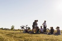 Friends enjoying picnic — Stock Photo