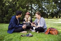Freelancers discussing while sitting at park — Stock Photo