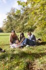 Gruppo di amici che fanno picnic — Foto stock