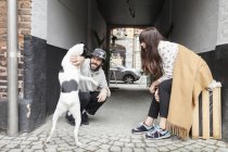 Paar spielt mit Hund — Stockfoto