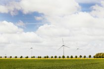 Ветряные турбины на поле — стоковое фото
