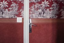 Декоративная дверь с дверной ручкой и выключателем — стоковое фото