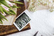 Flowers in paper and photograph on table — Stock Photo