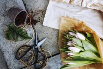 Bouquet de tulipes avec ciseaux et pot au sol en béton — Photo de stock