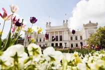 Университет Лунда с садом тюльпанов — стоковое фото