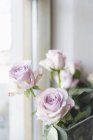 Rosa rosas por janela no restaurante — Fotografia de Stock