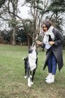 Donna che gioca con cane di razza mista — Foto stock