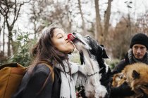 Mixed-breed dog licking woman — Stock Photo