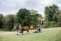 Gente con ciervos en campo herboso - foto de stock