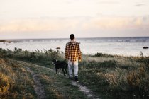 Людина з собакою, що йде по стежках — стокове фото