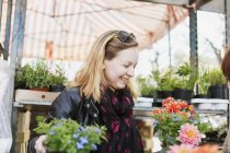 Зріла жінка купує квіткові рослини — стокове фото