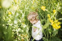 Мальчик среди растений — стоковое фото