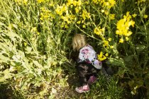 Menina em meio a plantas no campo de colza — Fotografia de Stock