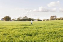 Хлопчик, ходьба на травою поле — стокове фото