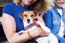 Mulher sênior segurando cão — Fotografia de Stock